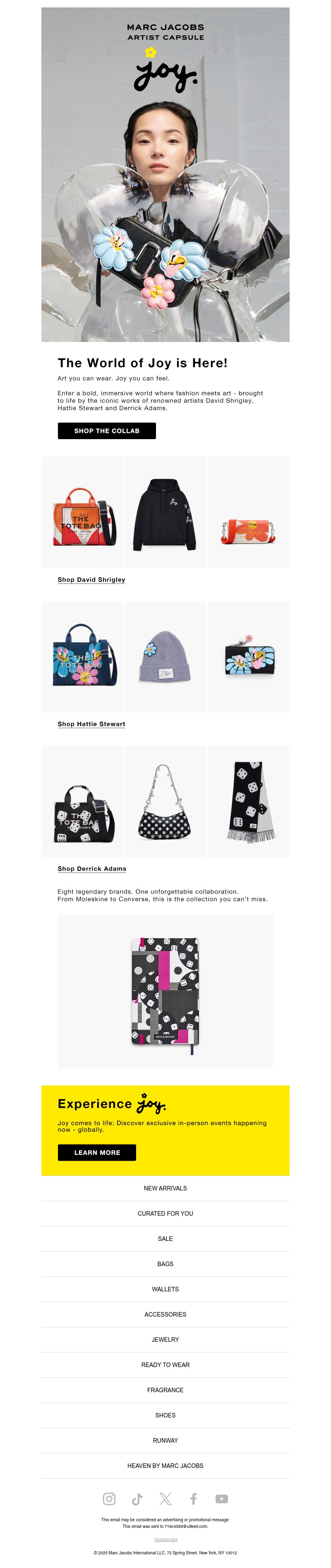 Screenshot of email with subject /media/emails/7291bb3e-53fd-470d-929b-9bcd50a7be55.jpg