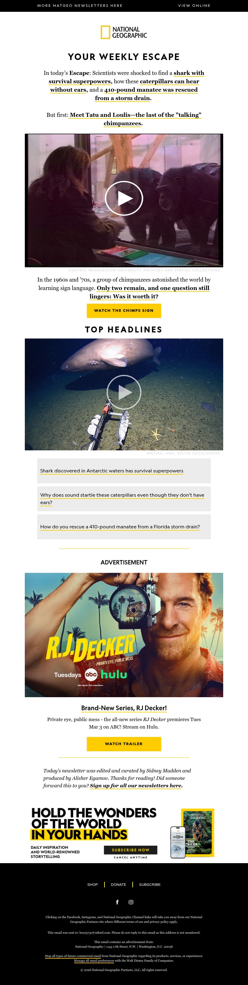 Screenshot of email with subject /media/emails/72b60fd3-330d-4380-8e28-0d471a3dc4b0.jpg