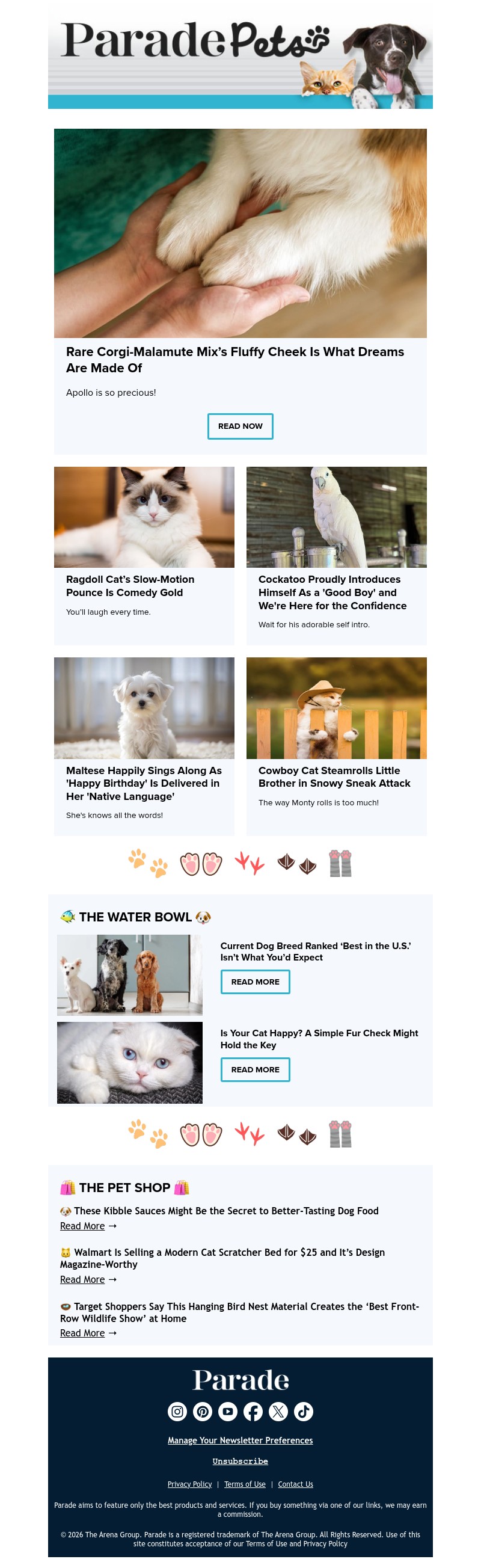 Screenshot of email with subject /media/emails/73153687-ea55-4a92-b2a7-bfb268b39b89.jpg