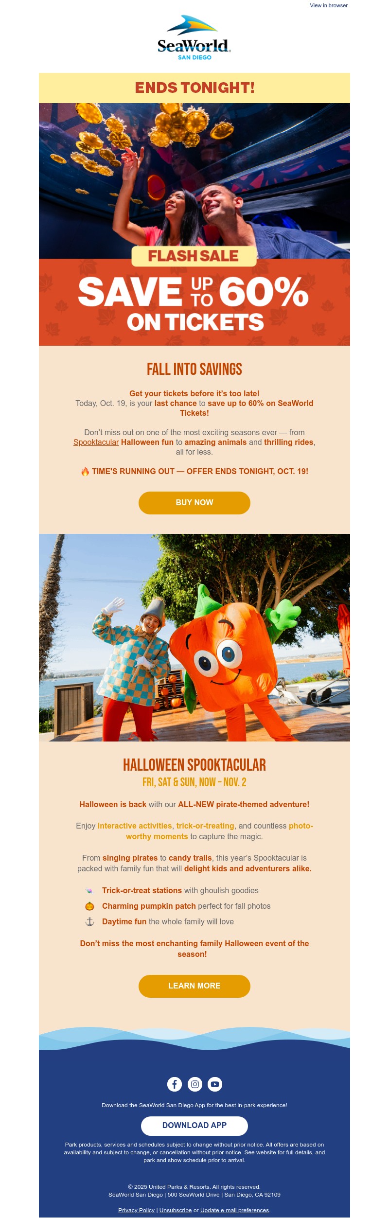 Screenshot of email with subject /media/emails/739404a1-2475-4a77-8bc0-5e7ddc8d25ee.jpg