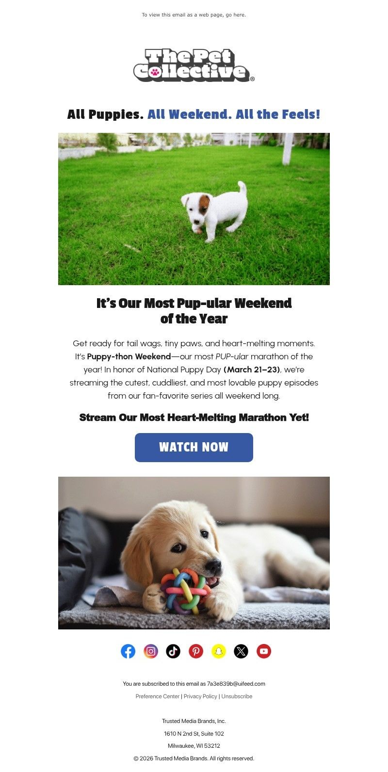 Screenshot of email with subject /media/emails/73eb5f9e-88cc-46b8-9e96-ea3697a673f7.jpg