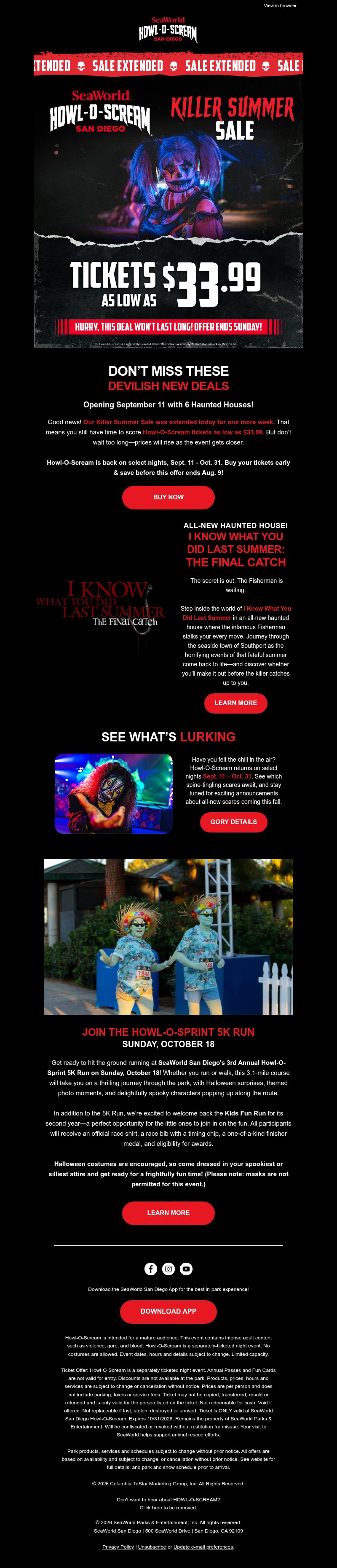 Screenshot of email with subject /media/emails/73f6bb42-d597-46ed-8d5c-22df070b319f.jpg