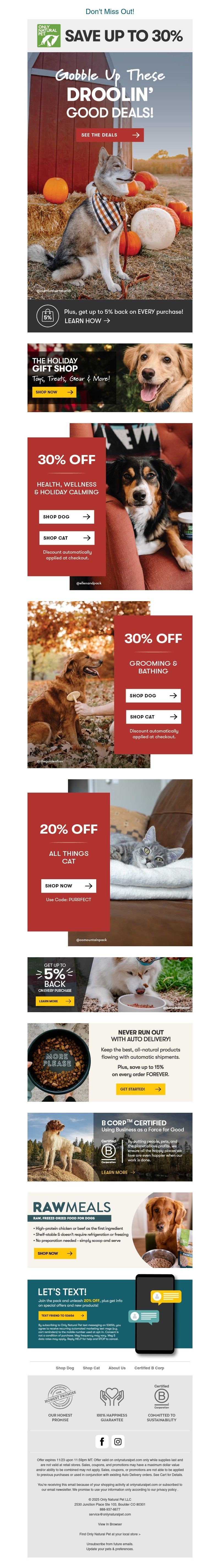 Screenshot of email with subject /media/emails/74209584-a9d9-43b4-a6f2-ff905db137d1.jpg