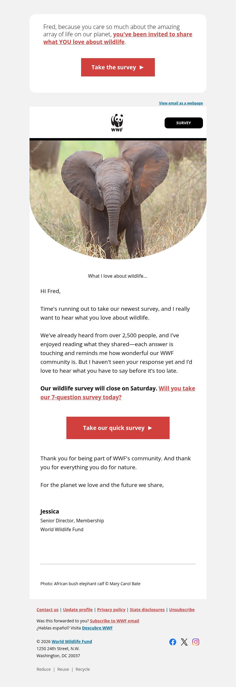 Screenshot of email with subject /media/emails/745a308f-8f75-4308-a1de-f388b585ffd9.jpg