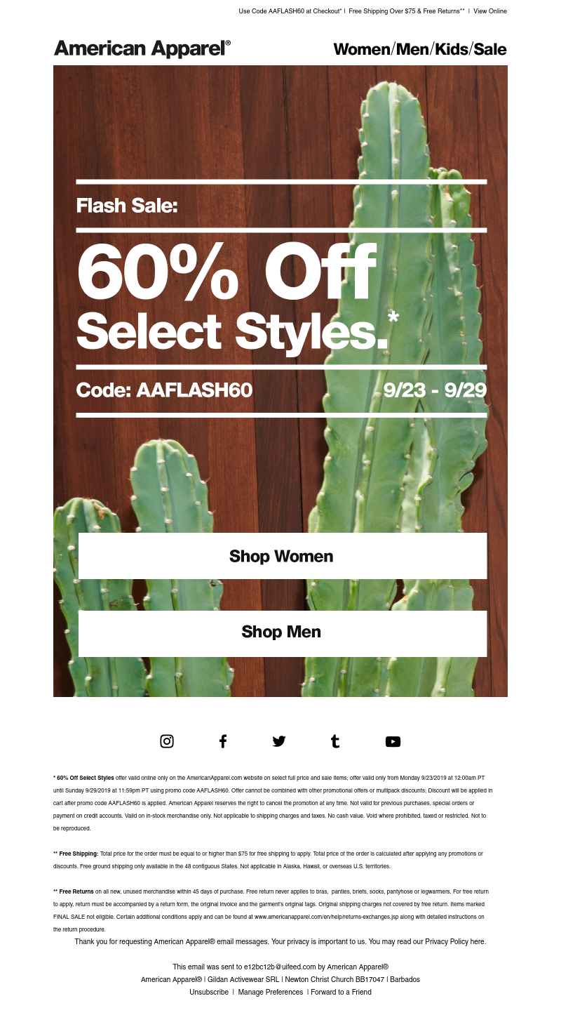 Screenshot of email with subject /media/emails/7490ec85-8ed1-4936-97ee-72d561532724.png