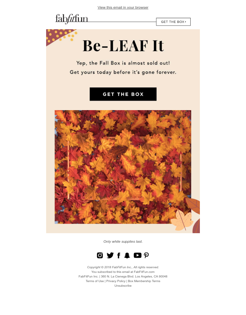 Screenshot of email with subject /media/emails/749b3514-c5a3-4e9f-a85e-6e87d2caec12.png