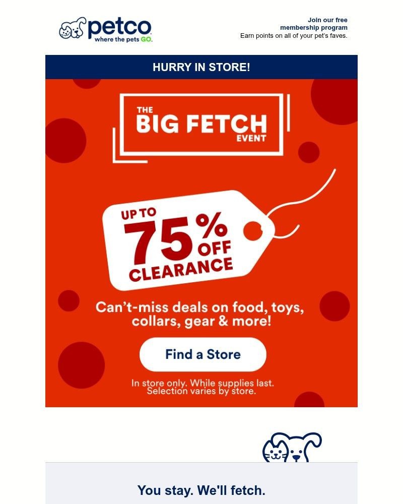 Screenshot of email sent to a Petco Newsletter subscriber