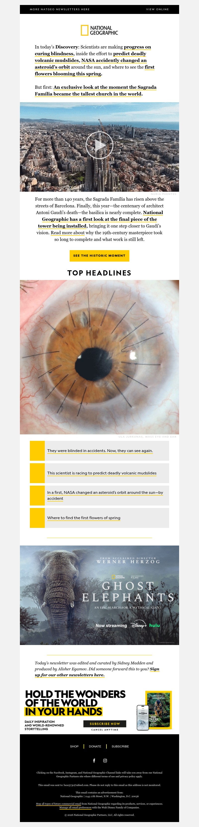 Screenshot of email with subject /media/emails/7530eac1-1ecc-463b-b33c-b8805d5f2af7.jpg