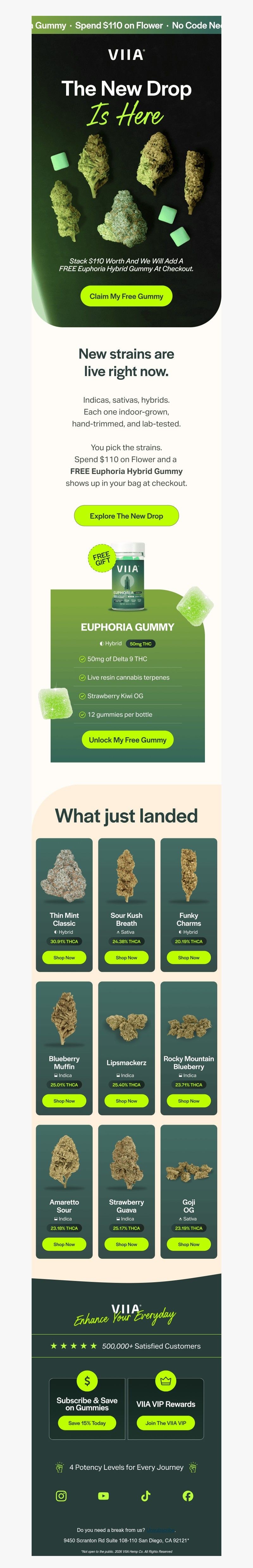 Screenshot of email with subject /media/emails/753e5a0e-2c75-47e2-8bf2-b88615e41b44.jpg