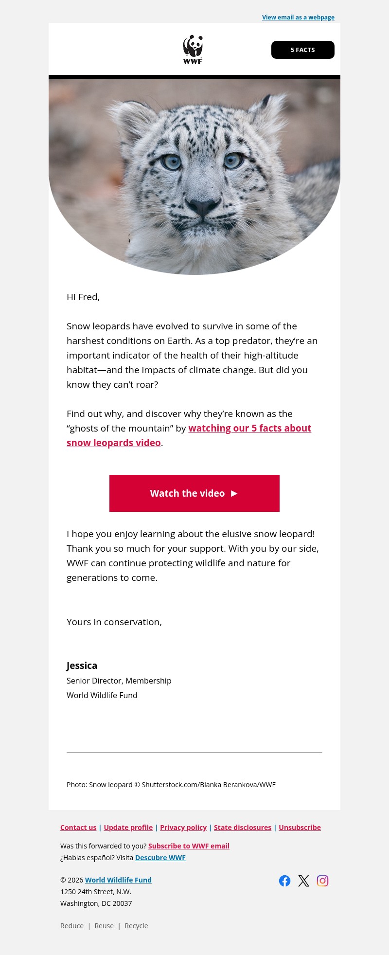 Screenshot of email with subject /media/emails/753fed8f-90de-4119-8c72-c7534bdbd5f9.jpg