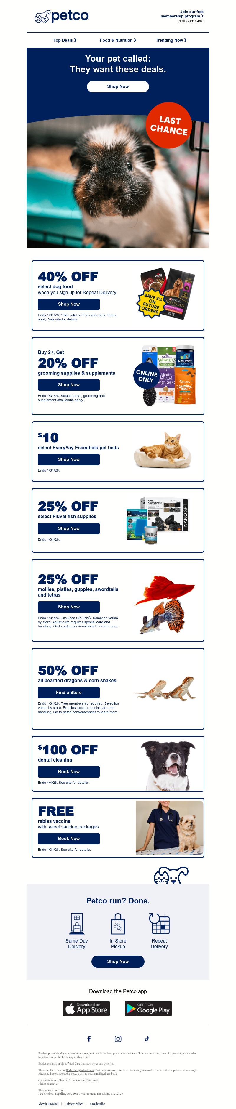 Screenshot of email with subject /media/emails/7565fd4f-81d7-40c2-91bd-f65d0279522e.jpg