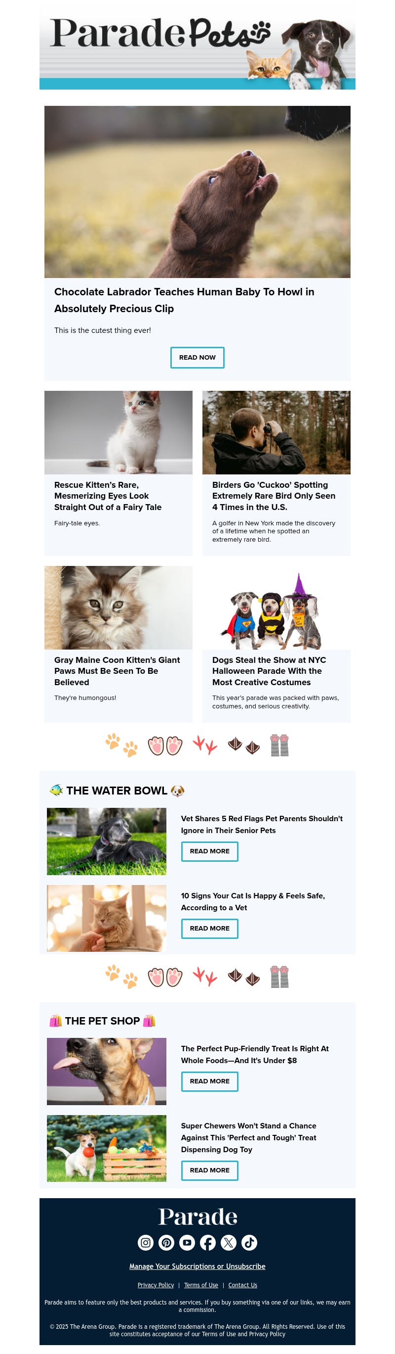 Screenshot of email with subject /media/emails/7569cb96-7579-4f86-abc8-3530e7849d09.jpg