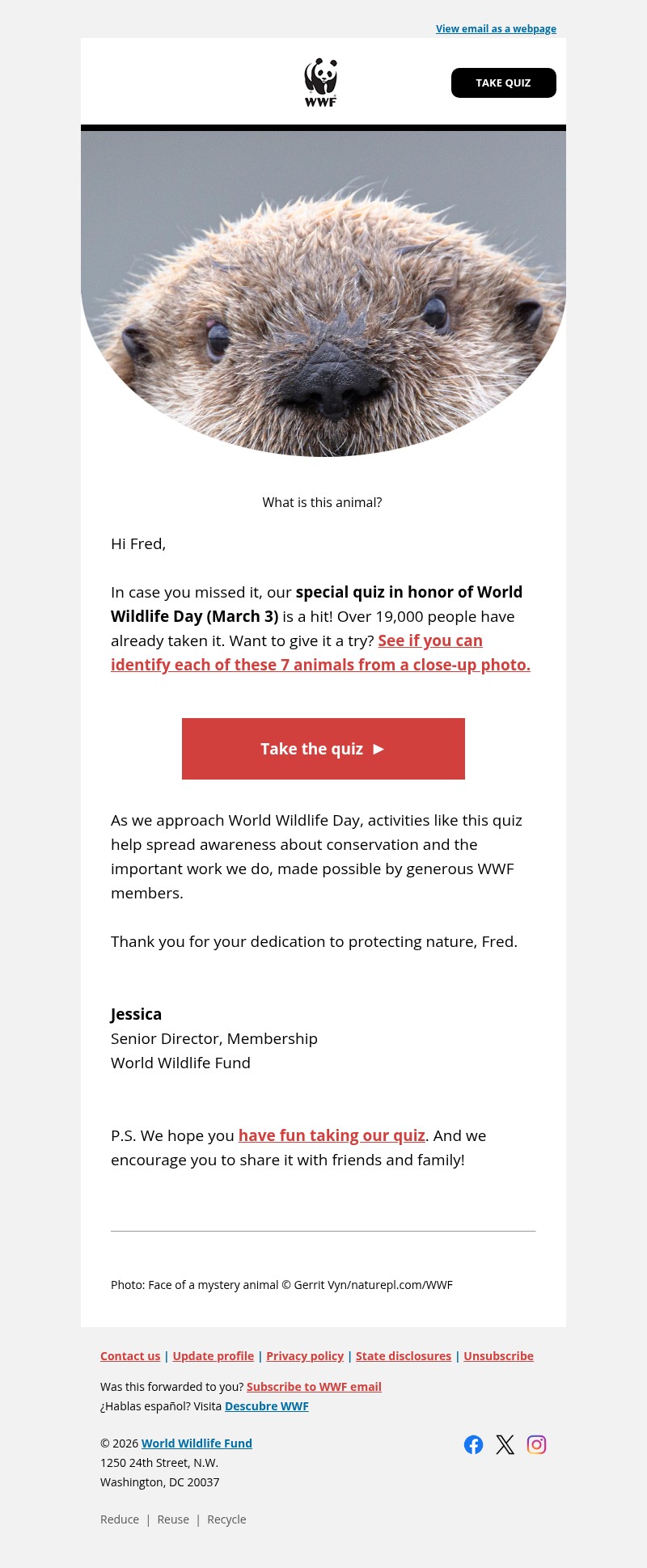 Screenshot of email with subject /media/emails/75a975bc-d164-4abc-9a62-65ee21659e5a.jpg