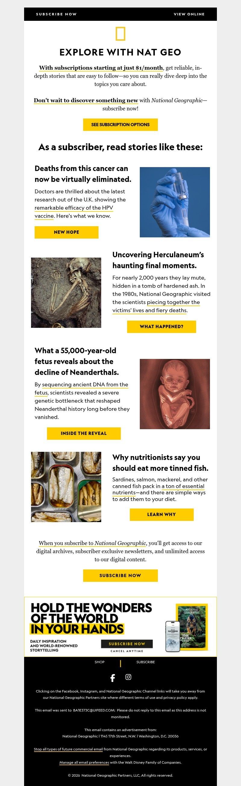 Screenshot of email with subject /media/emails/75ada3bf-9cc6-4823-b975-b6062250d6f0.jpg