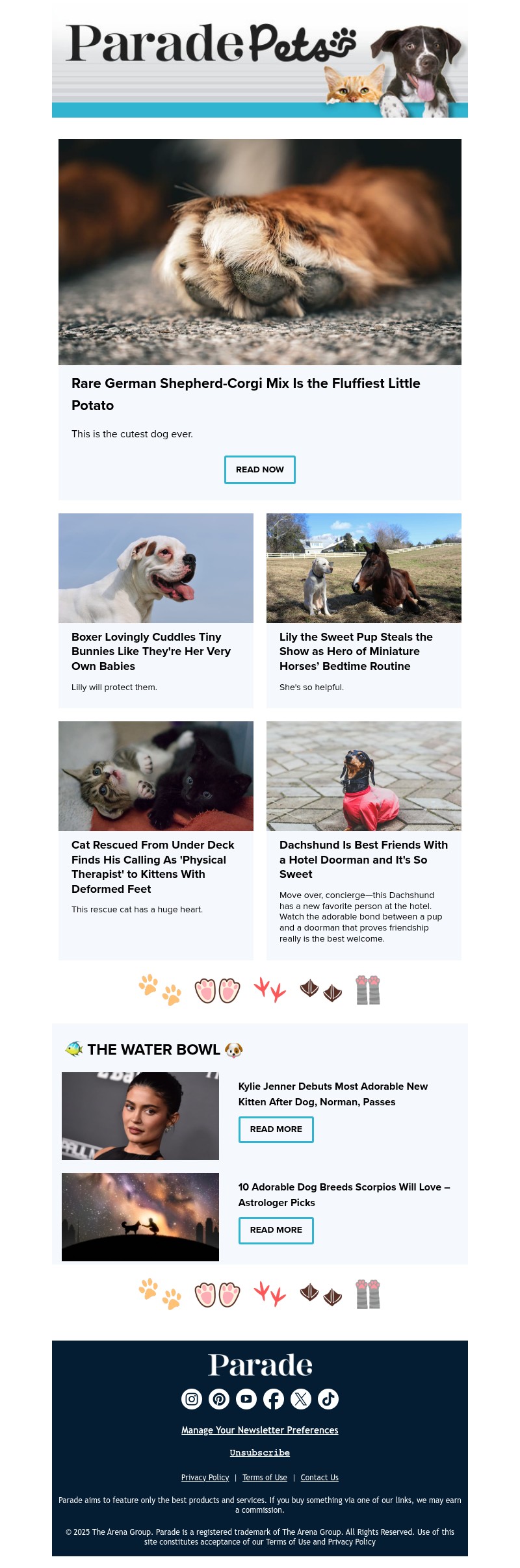 Screenshot of email with subject /media/emails/76161b4b-bb06-493f-a057-df91ca684c39.jpg