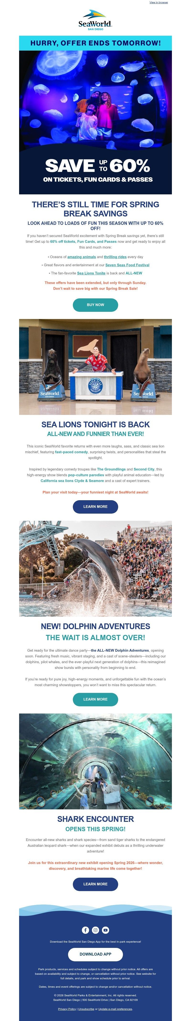 Screenshot of email with subject /media/emails/7651a5f3-6469-42da-8082-b6b6b100edb7.jpg