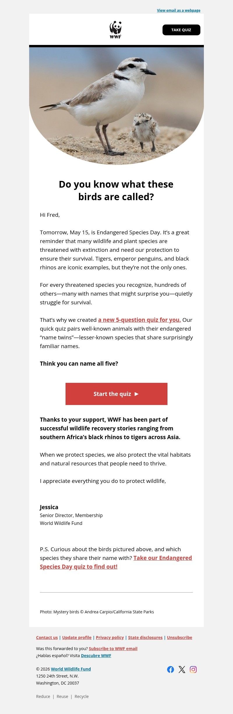 Screenshot of email with subject /media/emails/76bb7825-63be-4557-833f-f24d9343c6e3.jpg