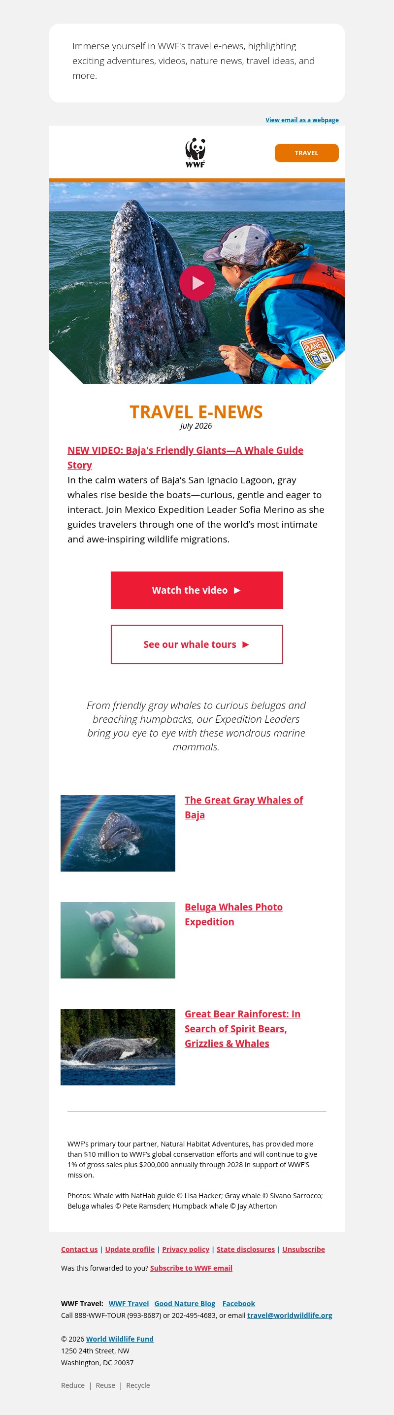 Screenshot of email with subject /media/emails/7832eb02-2a30-49e3-b4ec-92b3753d0c8e.jpg