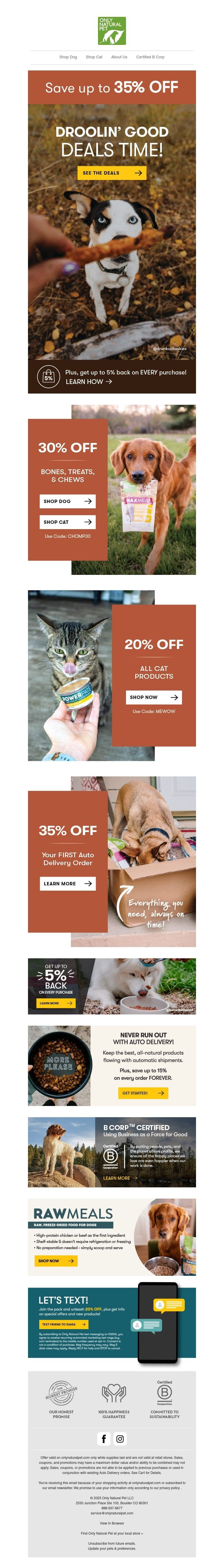 Screenshot of email with subject /media/emails/78691237-5b6a-4f07-9efa-d222d6d64ebc.jpg