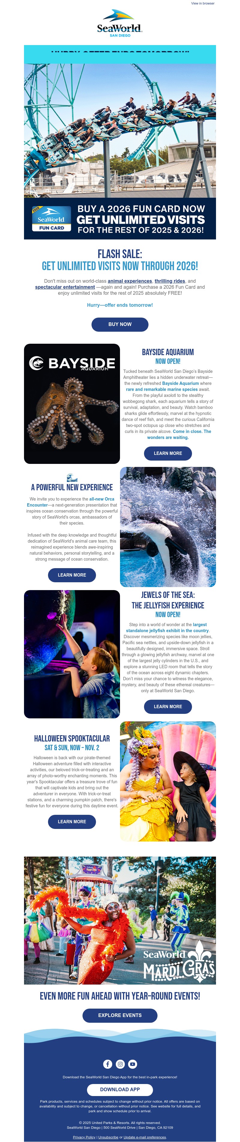 Screenshot of email with subject /media/emails/79213e9d-ee35-407e-8817-cf93f89d72a8.jpg