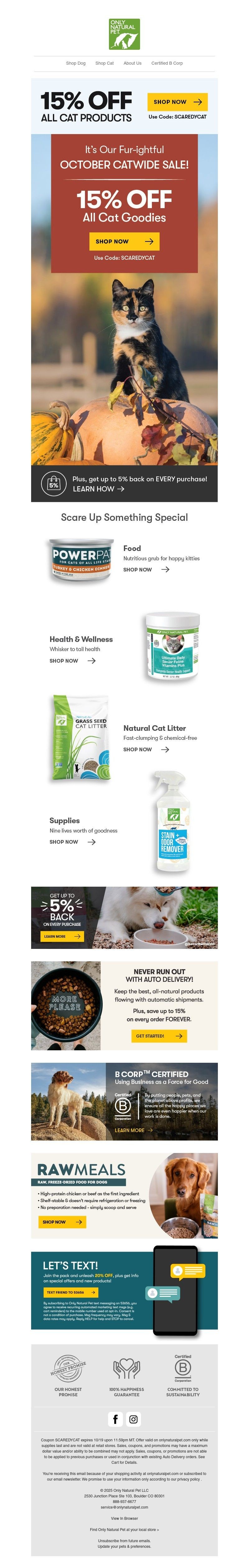 Screenshot of email with subject /media/emails/7950396d-e92d-482f-b112-3ca076861c33.jpg