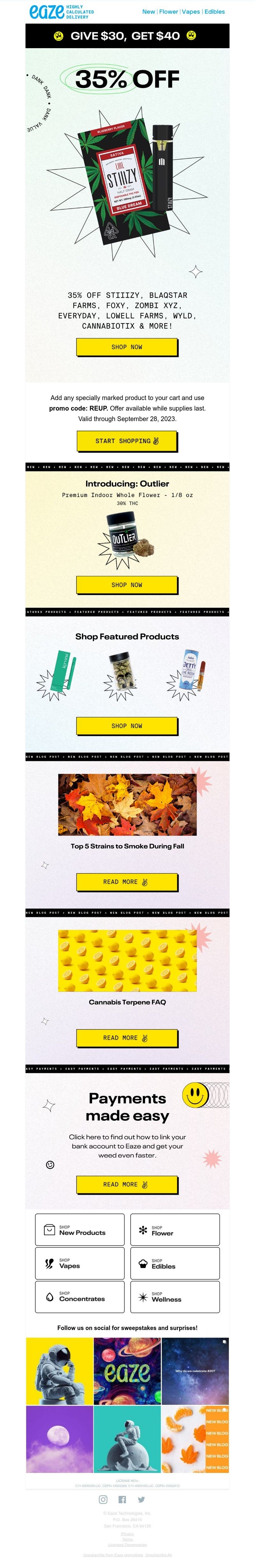 Screenshot of email with subject /media/emails/79730dde-9873-40e9-9c87-07c61b3a6c2e.jpg