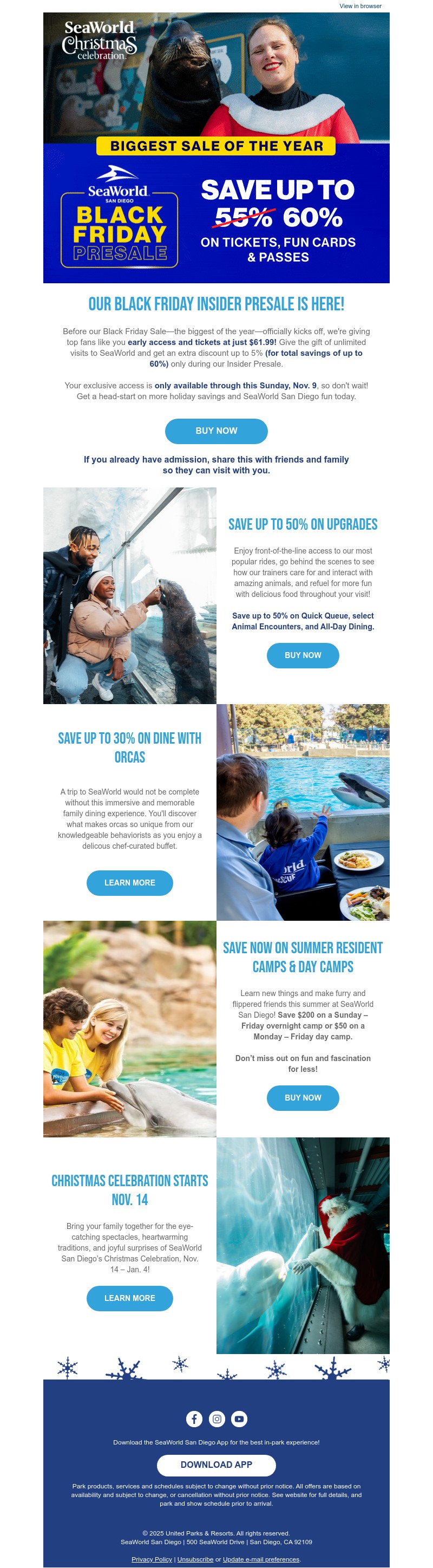 Screenshot of email with subject /media/emails/79781486-0ab1-46e9-be8d-bac01e47bbcf.jpg