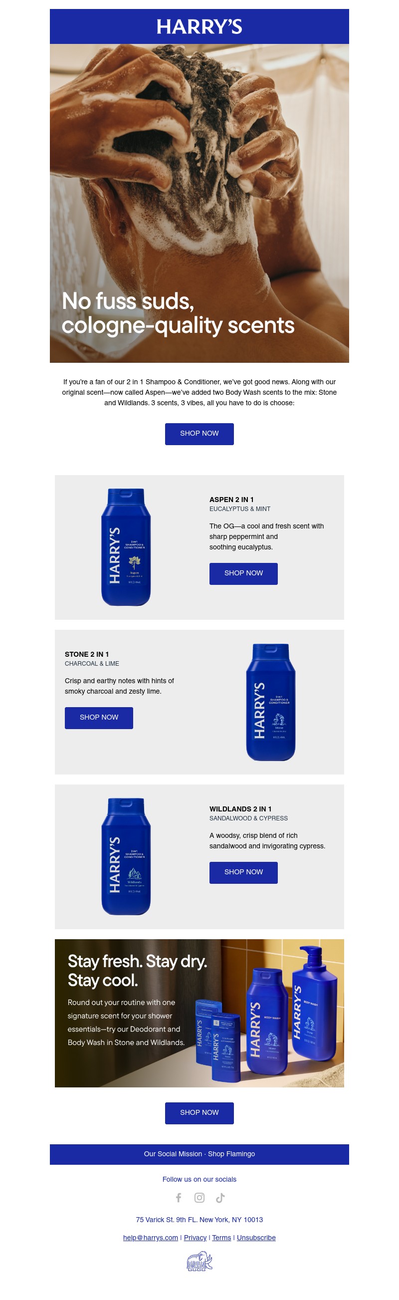 Screenshot of email with subject /media/emails/798492cf-acaf-439c-9c50-8c959e194ab9.jpg