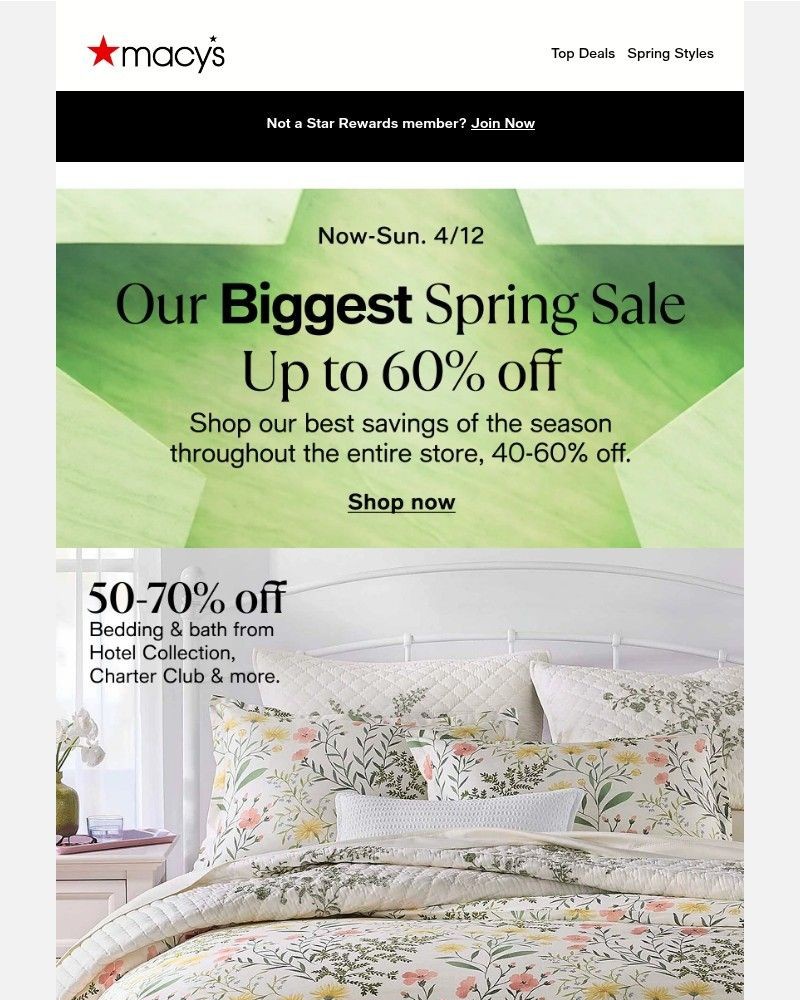 Screenshot of email sent to a Macy's Cart abandoner