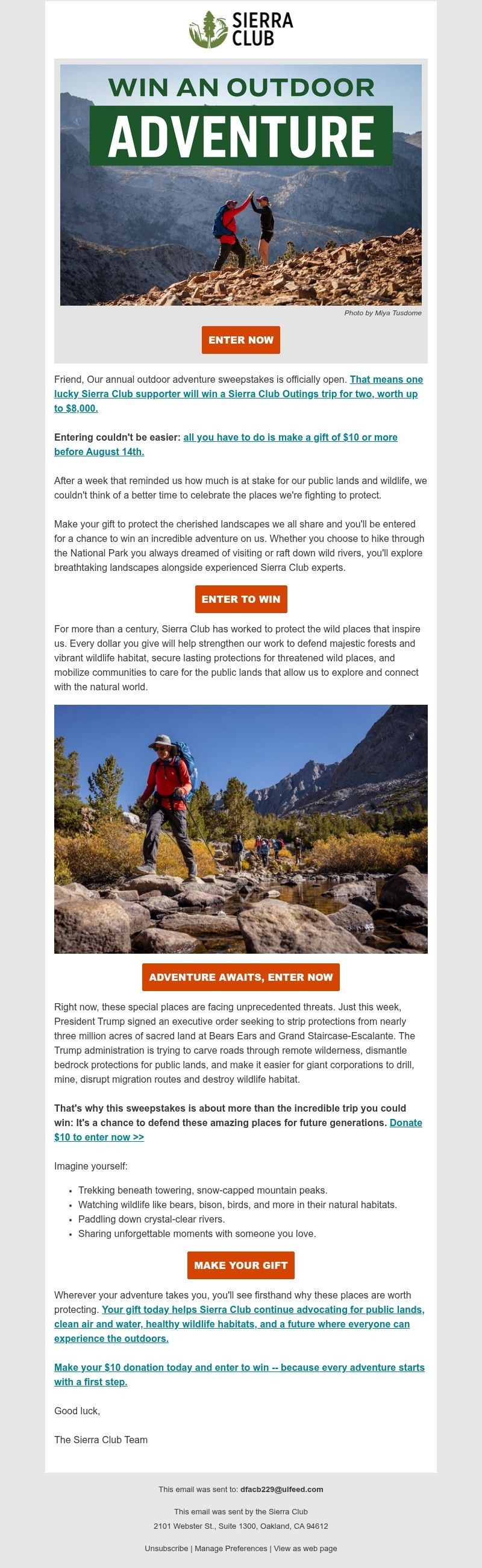 Screenshot of email with subject /media/emails/79dd545f-3a33-4313-b962-eb5fda2ee2cd.jpg
