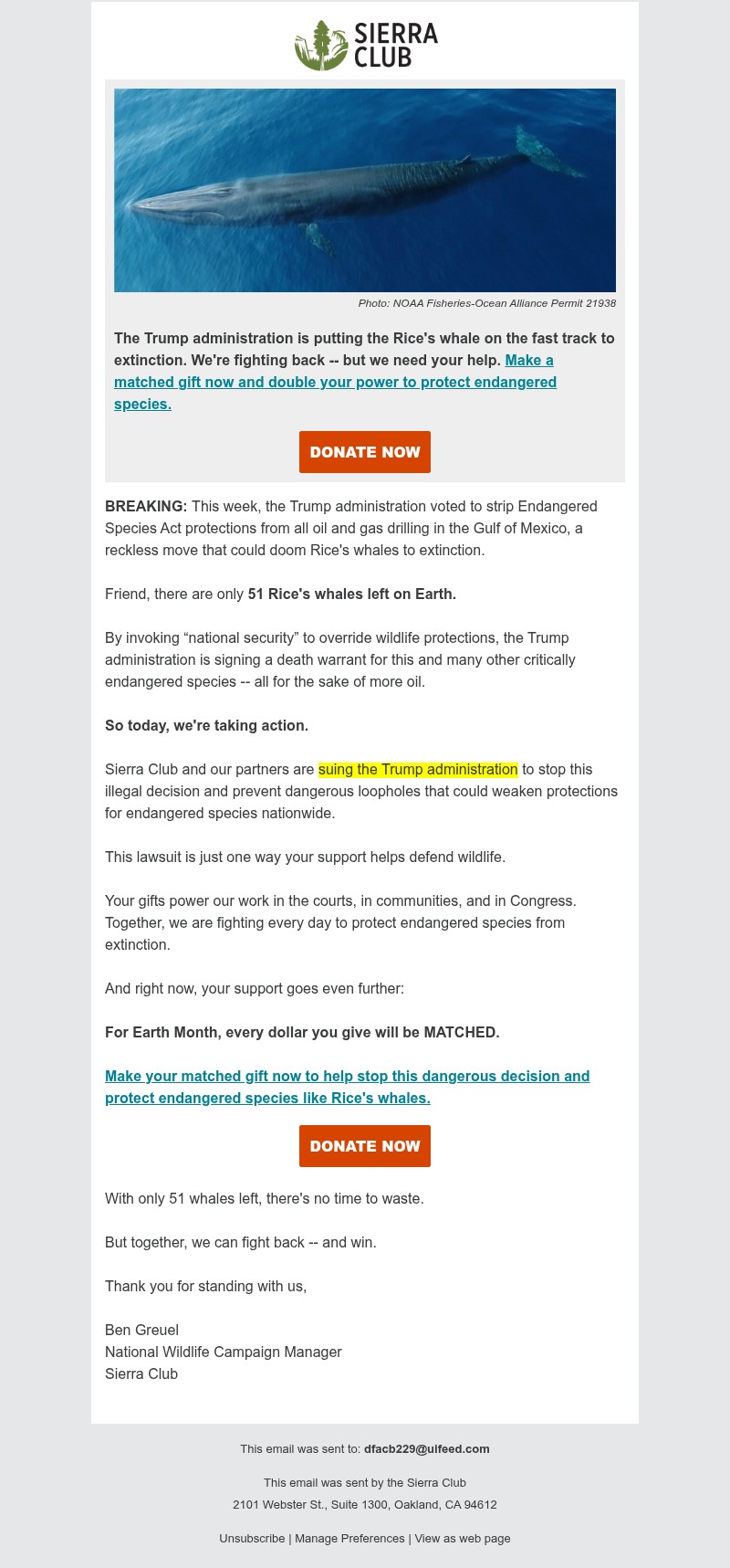 Screenshot of email with subject /media/emails/7a40c4fa-2315-4de3-ba49-02e0f0ab8f12.jpg