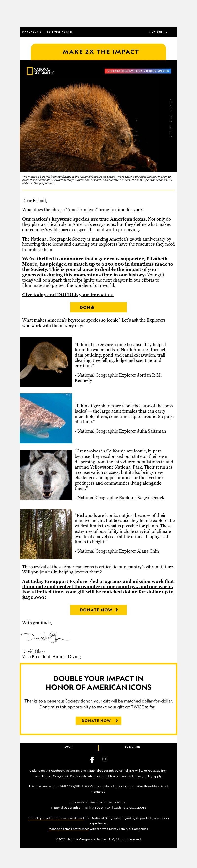 Screenshot of email with subject /media/emails/7adf1dd9-059e-4d56-8101-8d8a28f3eb50.jpg