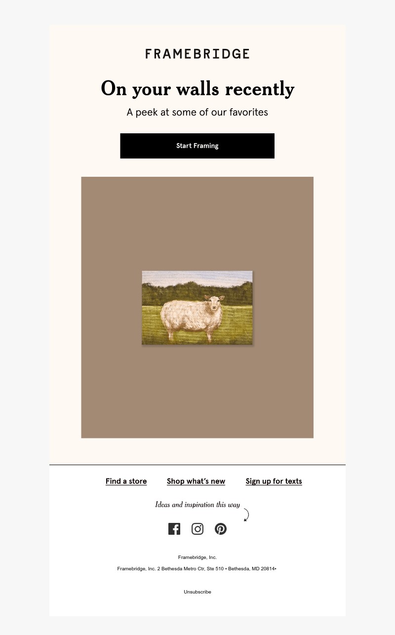 Screenshot of email with subject /media/emails/7af8835f-044b-4a7c-9301-cd6bba010958.jpg