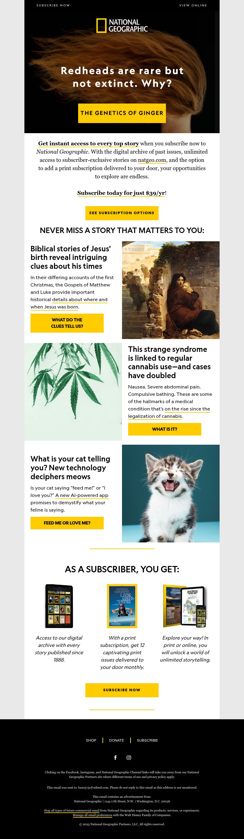 Screenshot of email with subject /media/emails/7b98218e-f0b4-4bc7-8763-069e834867ea.jpg
