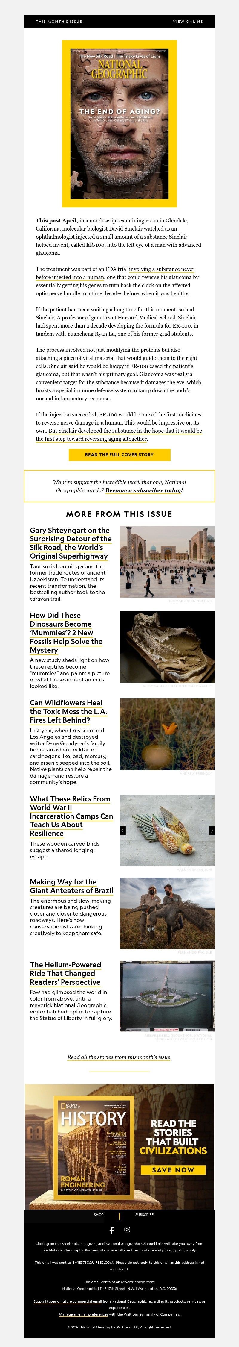 Screenshot of email with subject /media/emails/7bb8a08a-34e0-4064-b5f2-e2e685d01fc3.jpg