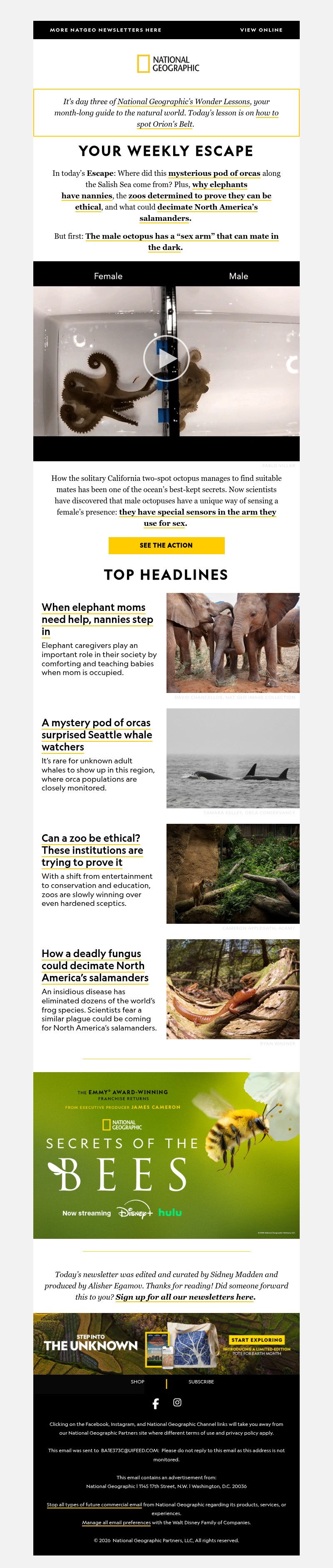 Screenshot of email with subject /media/emails/7c65eb2d-5165-46dc-b931-4a2709c3b379.jpg