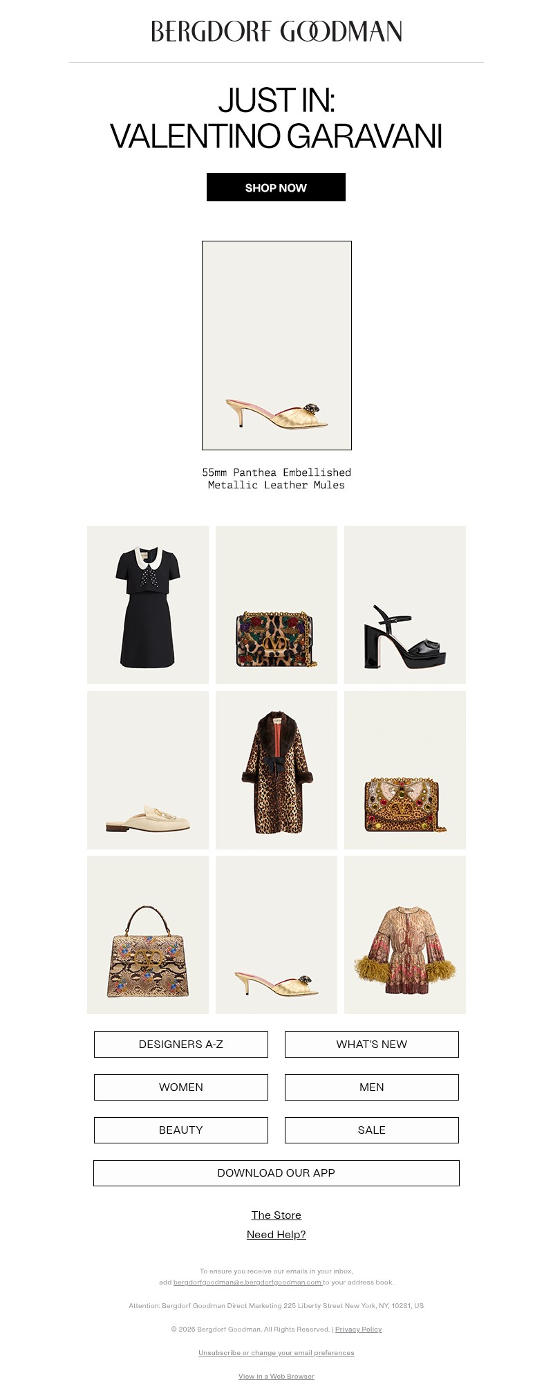 Screenshot of email with subject /media/emails/7d173c8e-e6a7-4fd9-962d-7661f91c9384.jpg