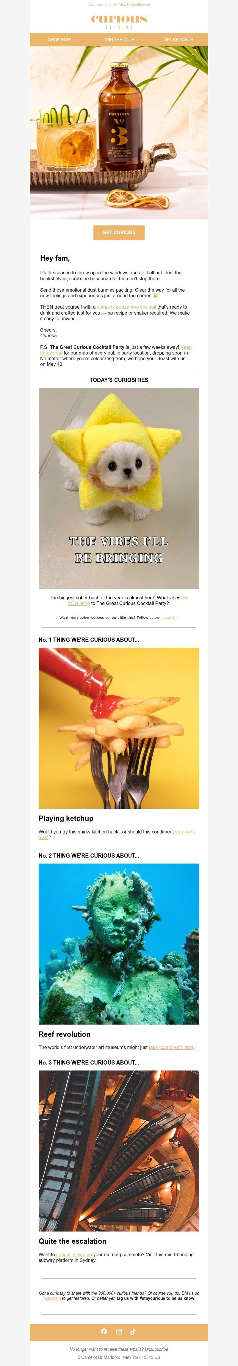 Screenshot of email with subject /media/emails/7d1b3b9f-878e-4db7-9c48-85ef0d4edd26.jpg