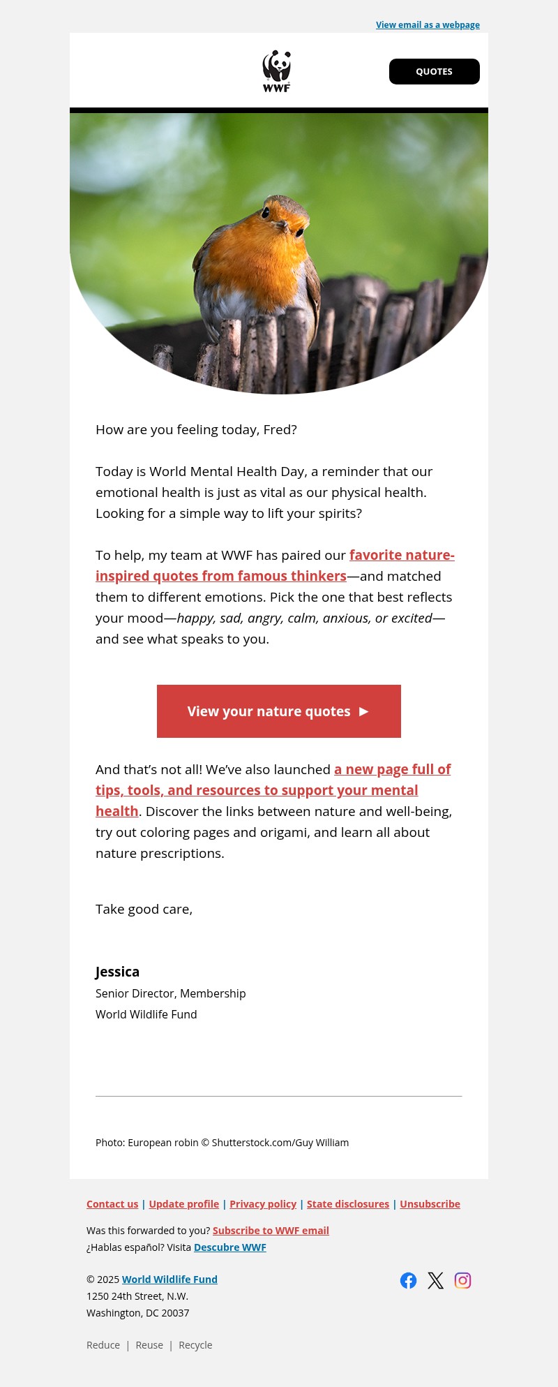 Screenshot of email with subject /media/emails/7d56a12a-e69a-49cb-9fcd-ff3a3c5f8965.jpg