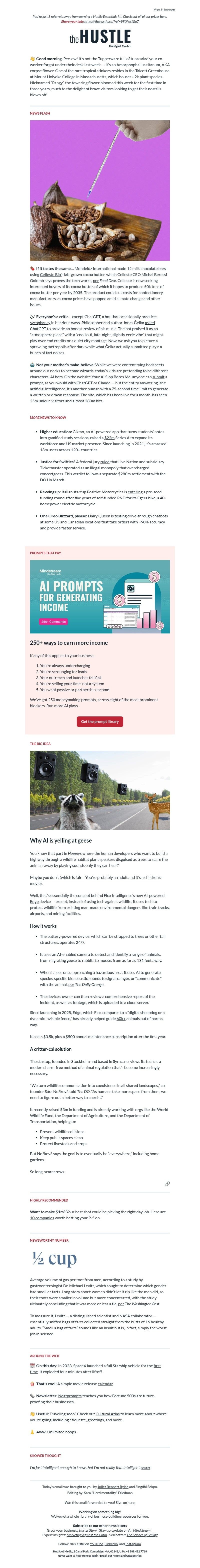 Screenshot of email with subject /media/emails/7da14fd2-5caf-4ae0-8db4-68dbb8646e68.jpg