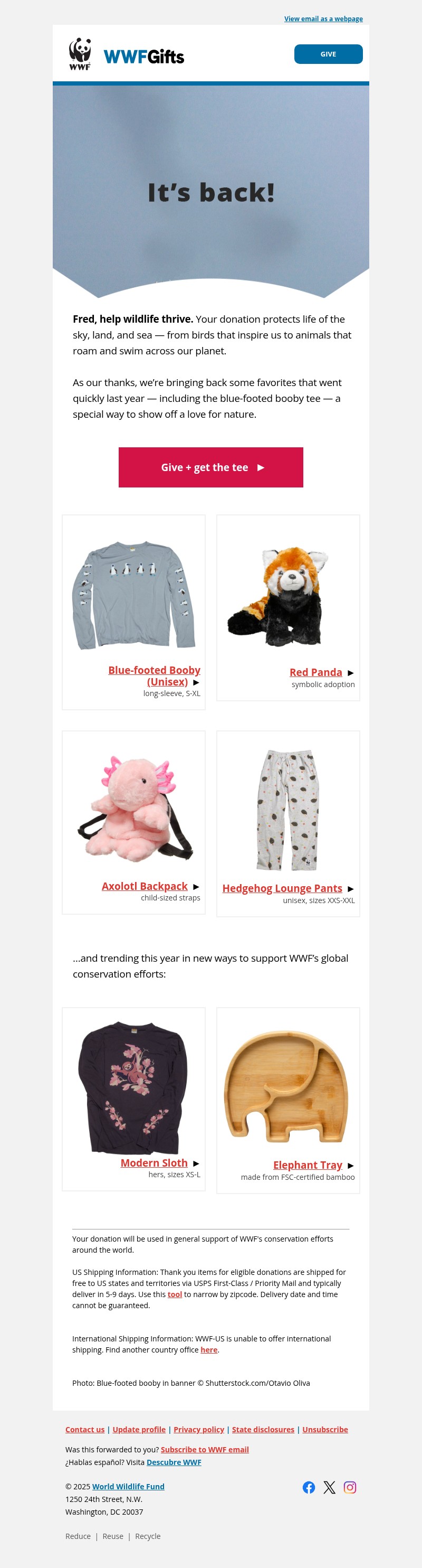 Screenshot of email with subject /media/emails/7ddbd37b-6c26-4d27-94eb-bd3417a4d23b.jpg