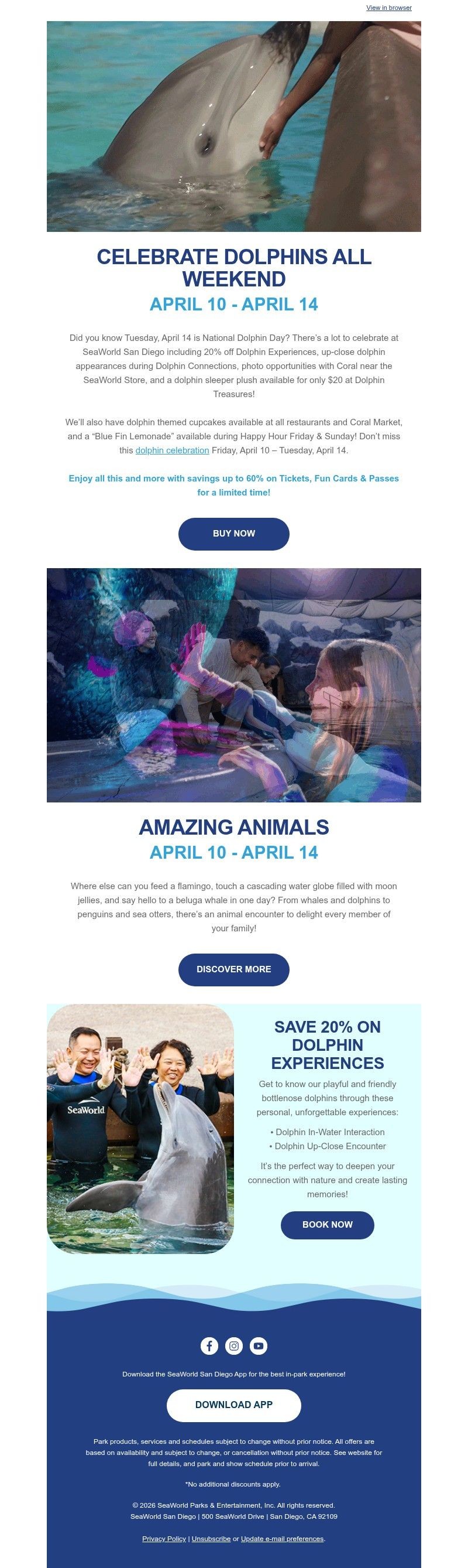 Screenshot of email with subject /media/emails/7e444f15-6d48-477a-b328-3b3cd0c18d9b.jpg