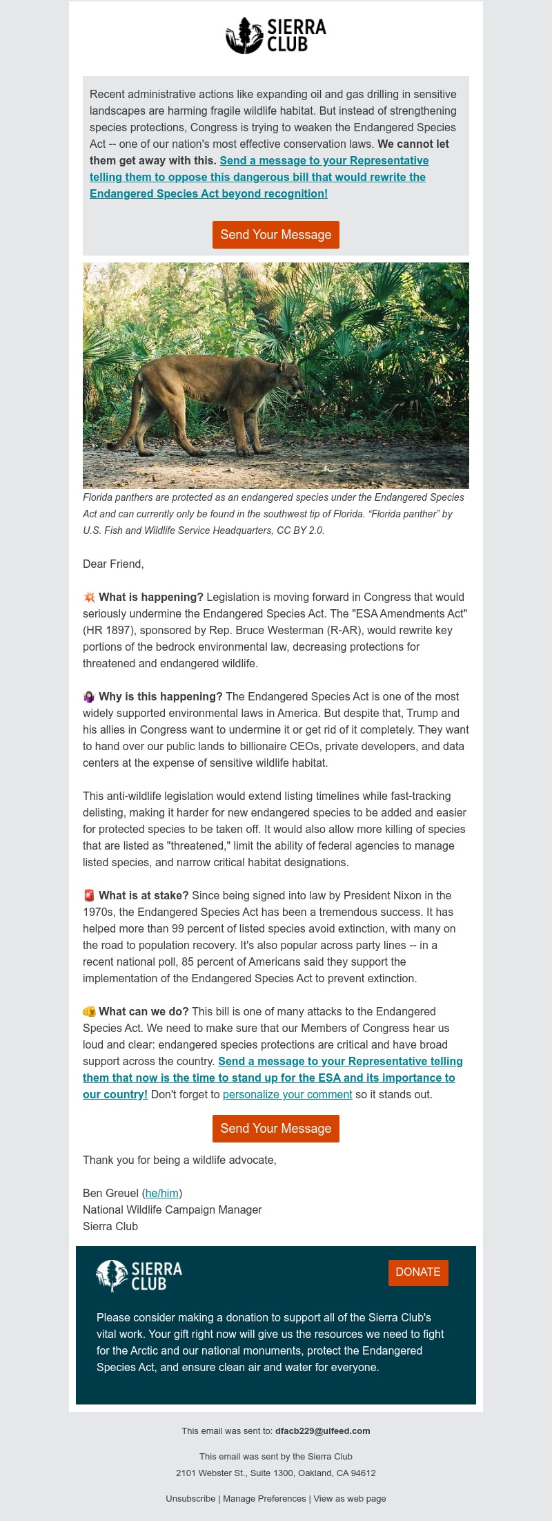 Screenshot of email with subject /media/emails/7f648fe4-7737-4eb2-bd45-4f011de73712.jpg