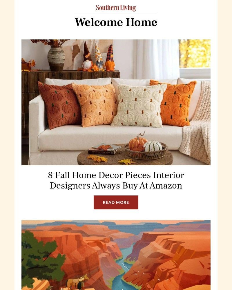 Screenshot of email with subject /media/emails/8-fall-home-decor-pieces-interior-designers-always-buy-at-amazon-fea64a-cropped-89c327fb.jpg