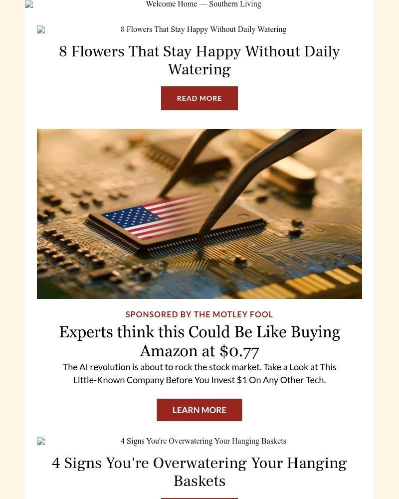 Screenshot of email with subject /media/emails/8-flowers-that-stay-happy-without-daily-watering-d1d889-cropped-af252fe3.jpg