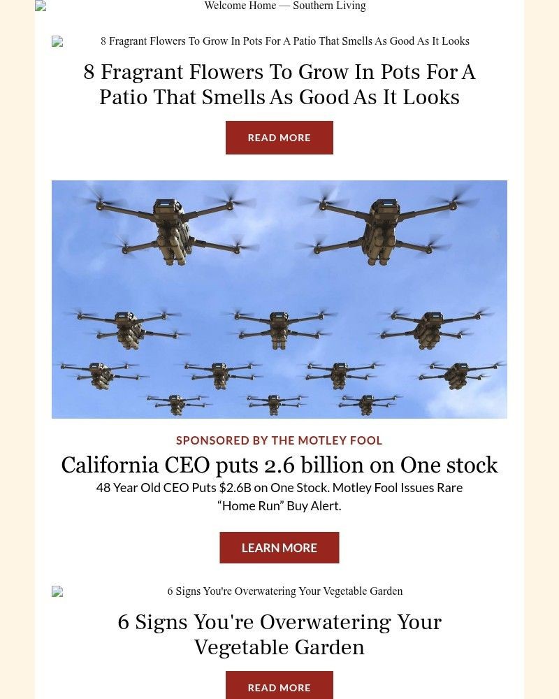 Screenshot of email with subject /media/emails/8-fragrant-flowers-to-grow-in-pots-for-a-patio-that-smells-as-good-as-it-looks-3c_U6mEOPL.jpg