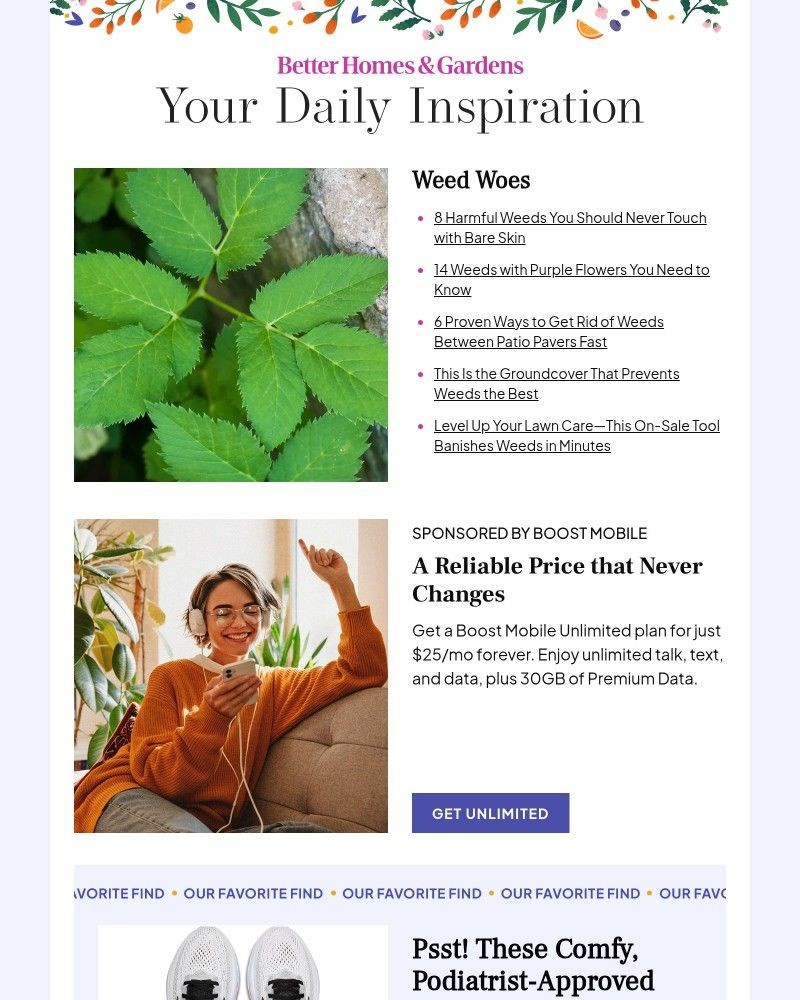 Screenshot of email with subject /media/emails/8-harmful-weeds-you-should-never-touch-df1915-cropped-b05a97b0.jpg