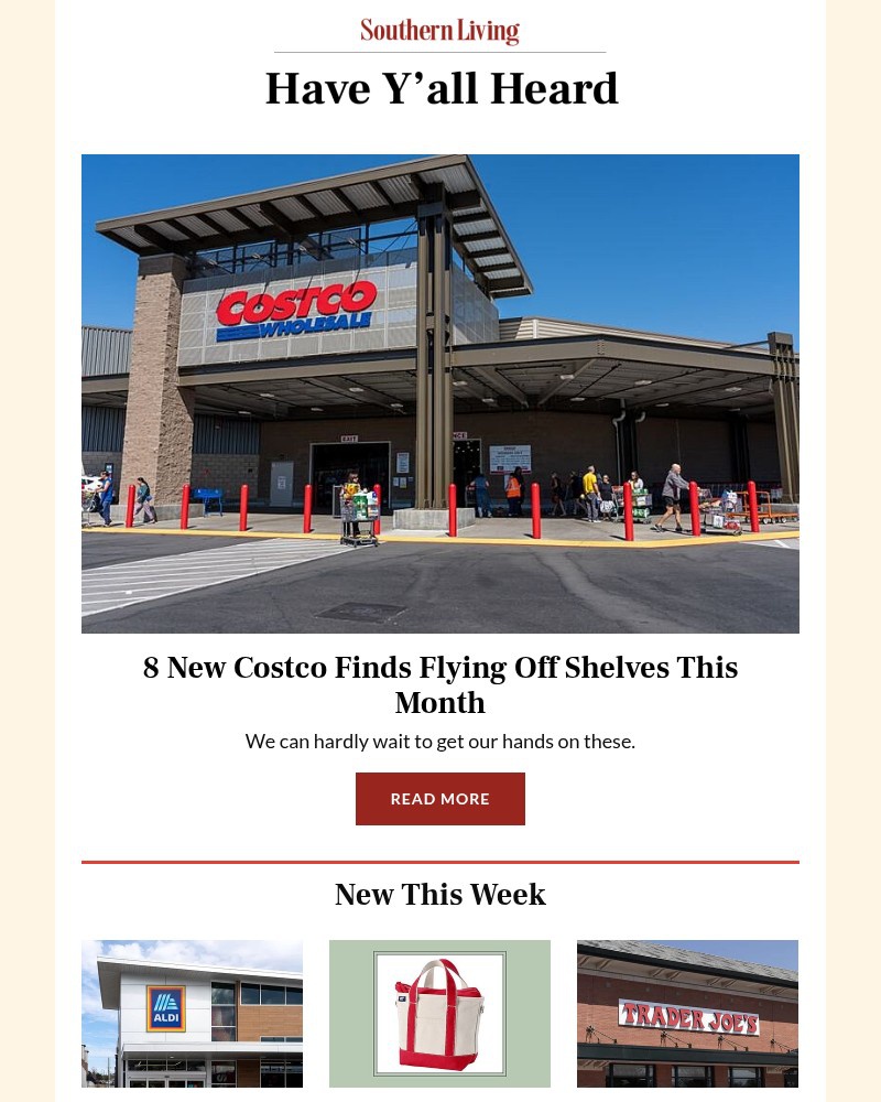 Screenshot of email with subject /media/emails/8-new-costco-finds-flying-off-shelves-this-month-38ea01-cropped-52d74830.jpg