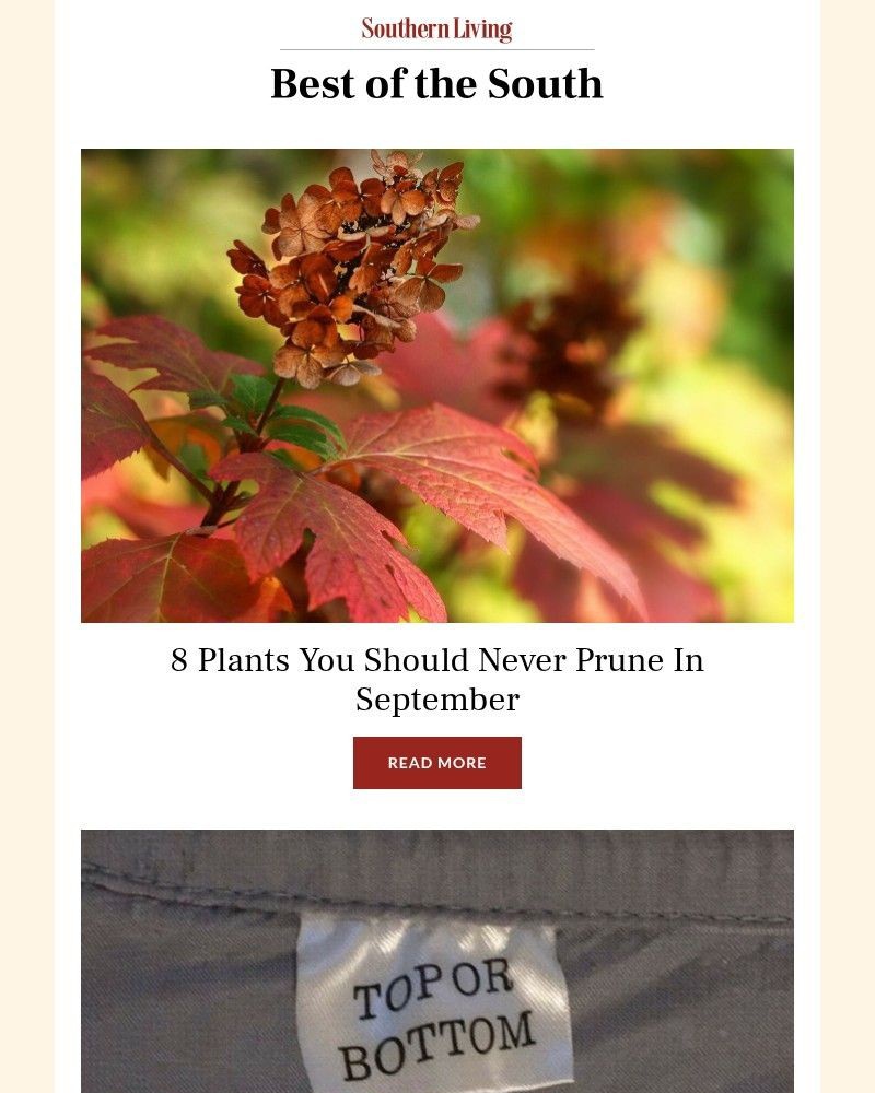 Screenshot of email with subject /media/emails/8-plants-you-should-never-prune-in-september-0b6f42-cropped-56113d28.jpg