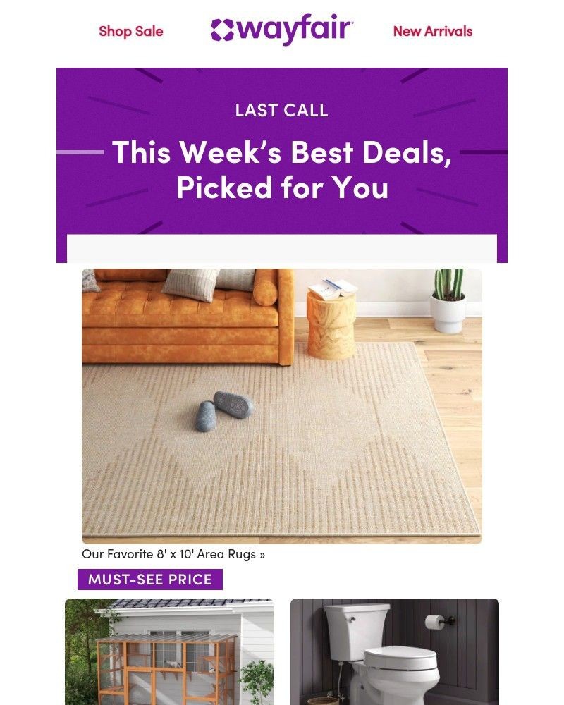 Screenshot of email with subject /media/emails/8-x-10-area-rugs-bba6cc-cropped-301d88bd.jpg